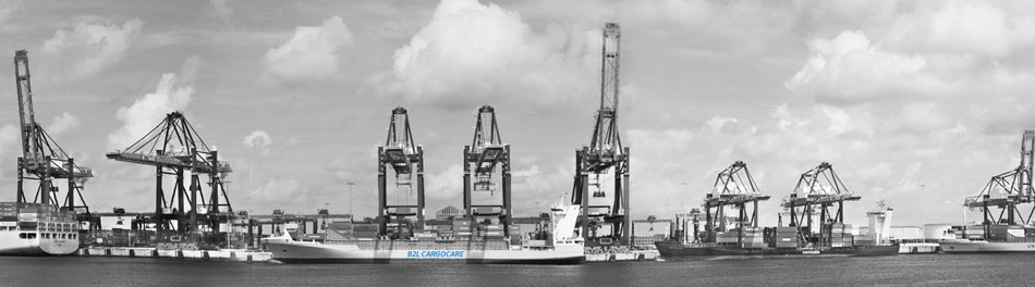 B2L Cargocare